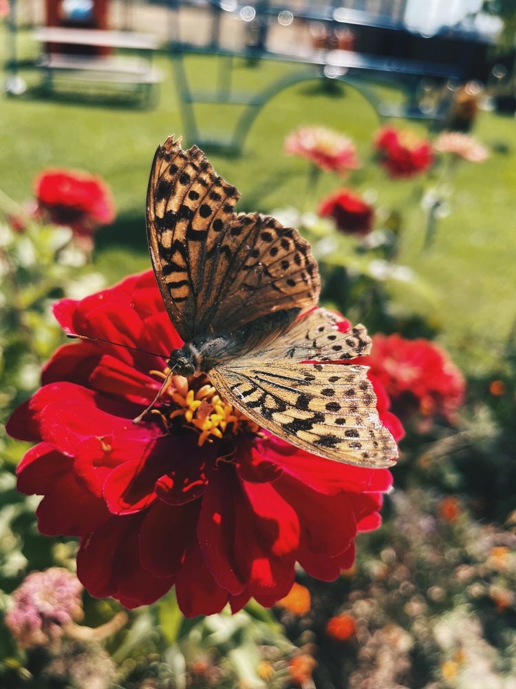 Фотография автора Анна Роганова