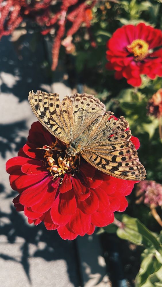 Фотография автора Анна Роганова