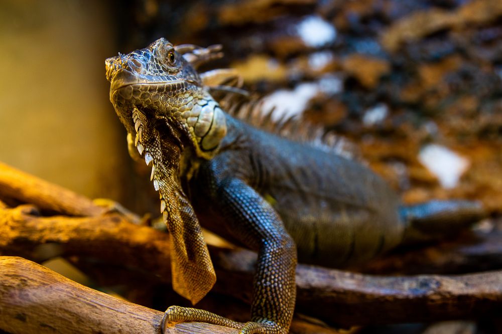 Photograph by Ирина Саломатина