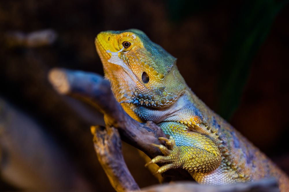 Photograph by Ирина Саломатина