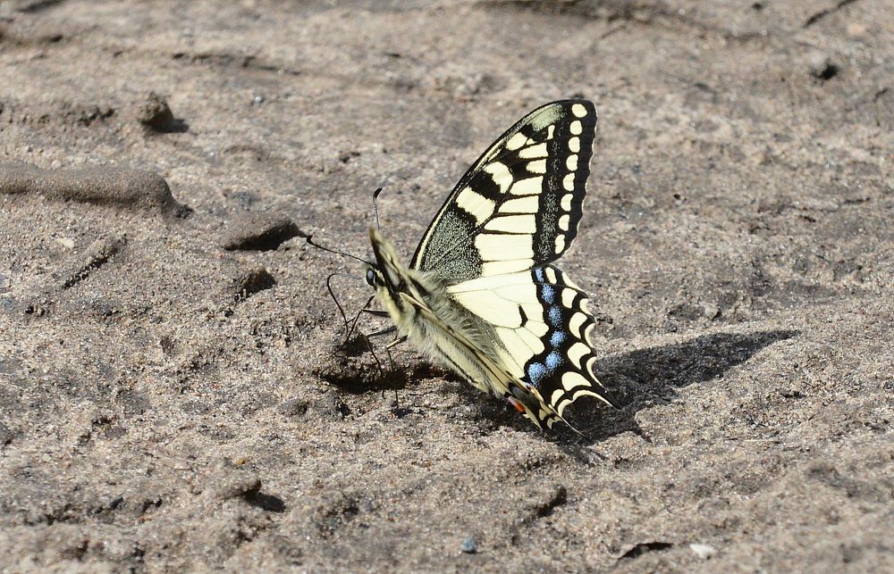 Photograph by Алексей Козлов