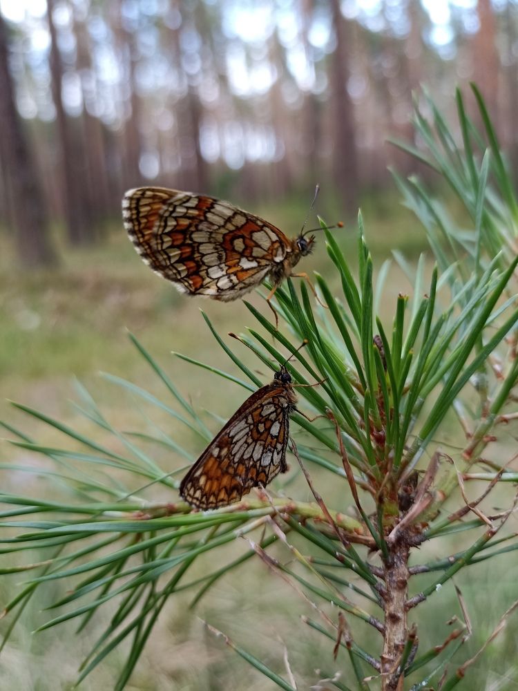 Photograph by Юлия