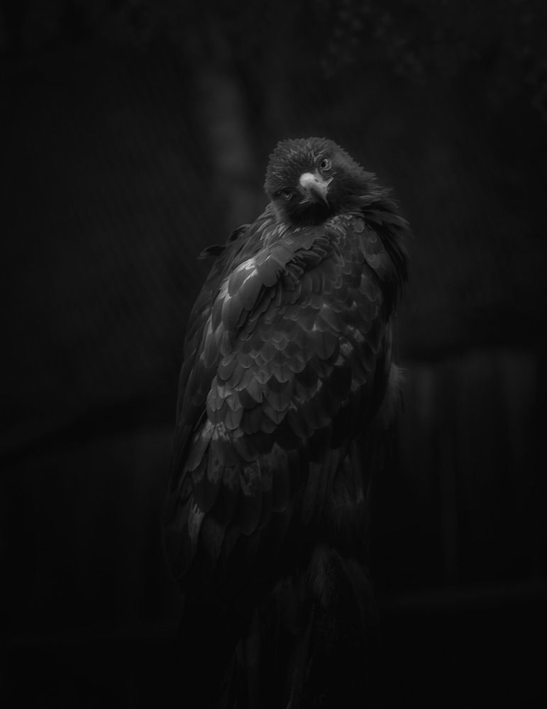 Photograph by Alice White