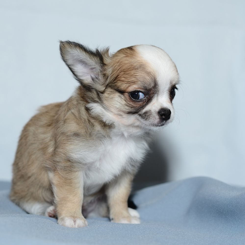 Photograph by Алексей Козлов