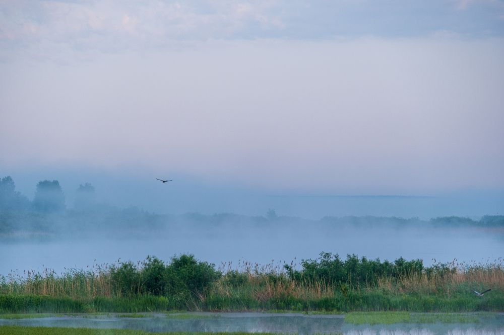 Photograph by Виталий Бодрягин