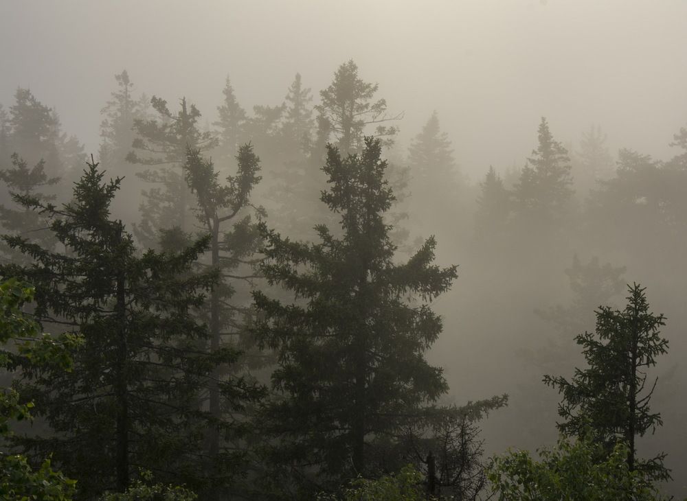 Photograph by Ольга Шуякова