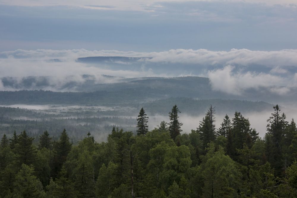 Photograph by Ольга Шуякова