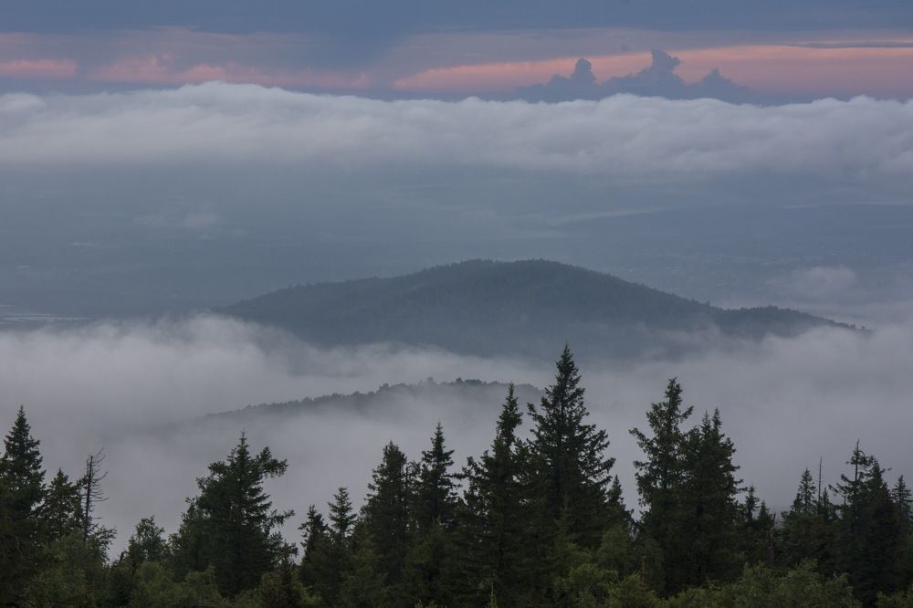 Photograph by Ольга Шуякова