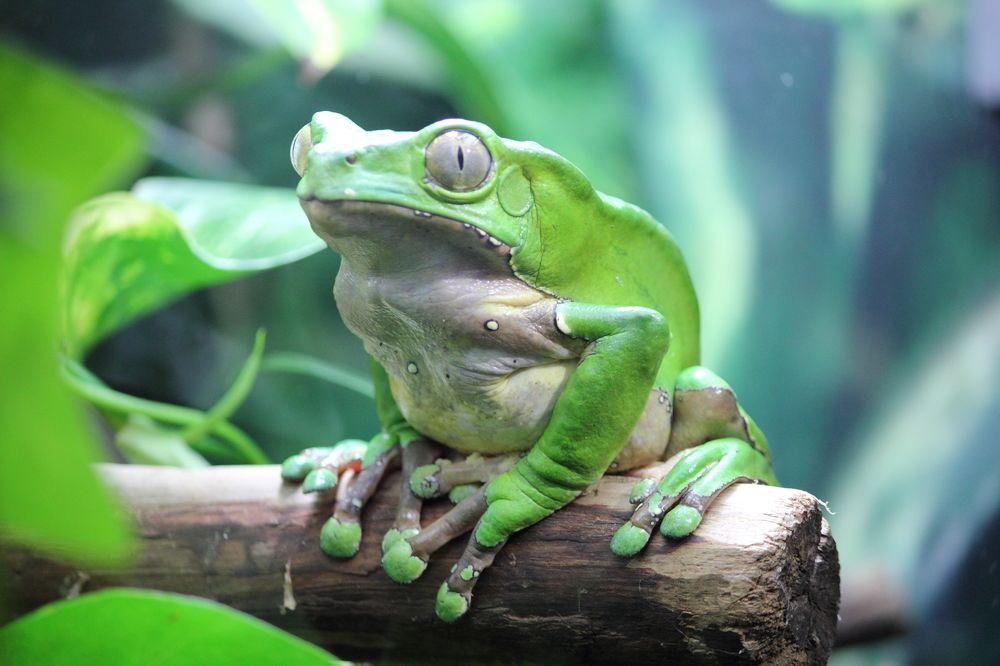 Photograph by Татьяна Гладкова