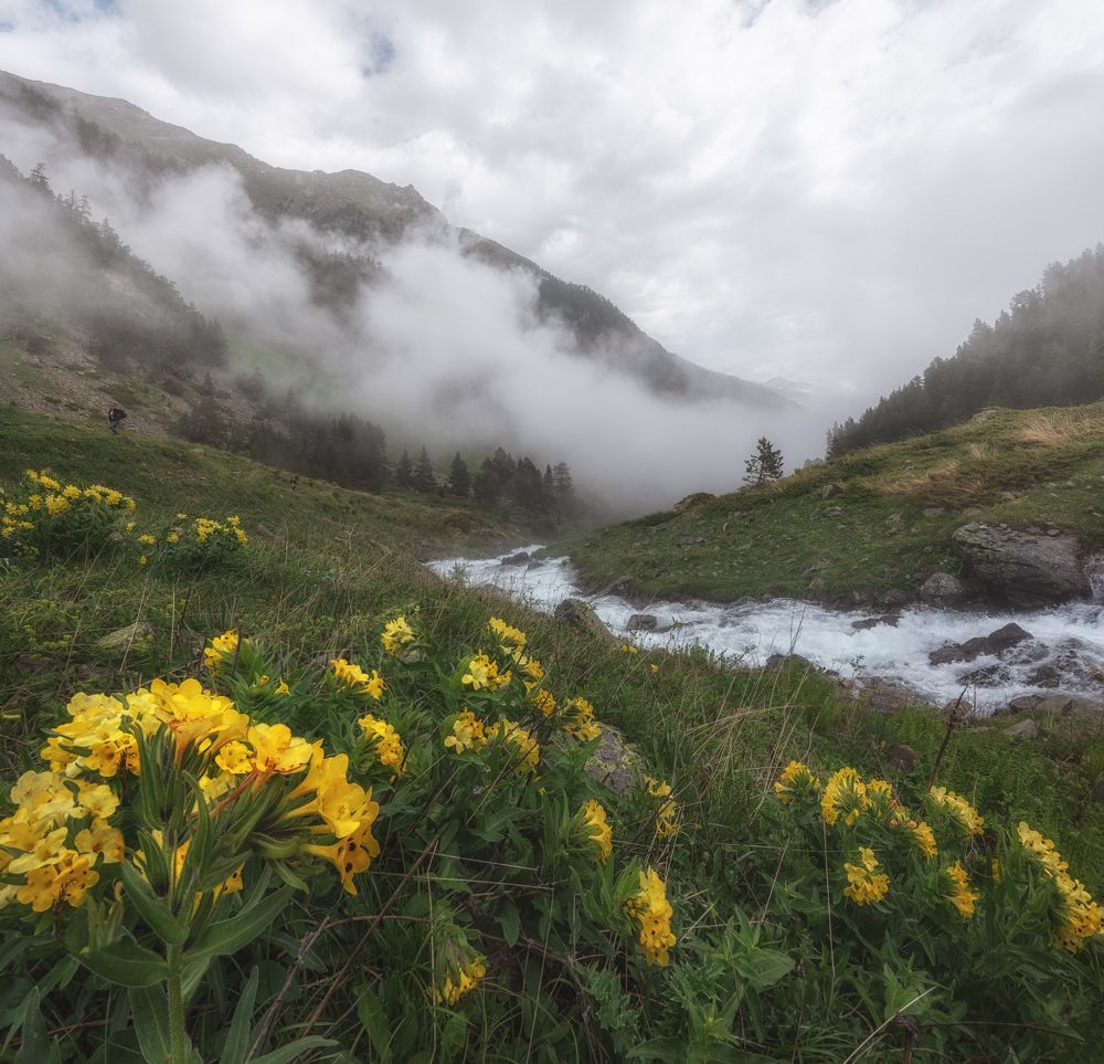 Photograph by Кахарова Наргиза