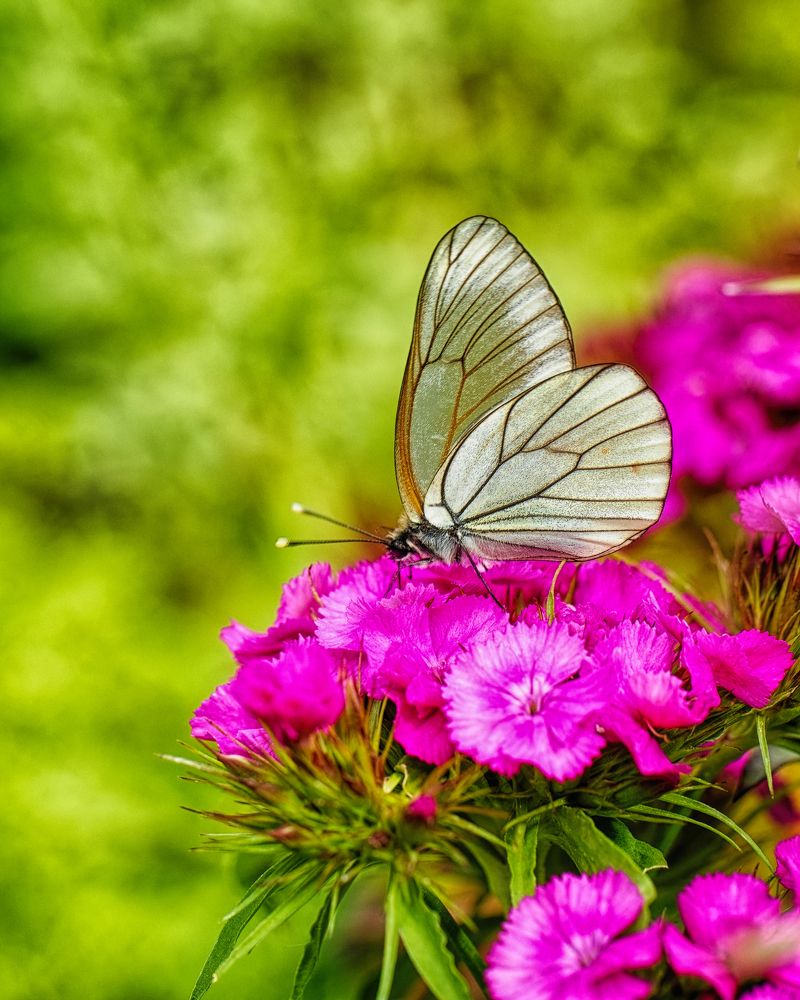 Photograph by Сергей Аллагулов