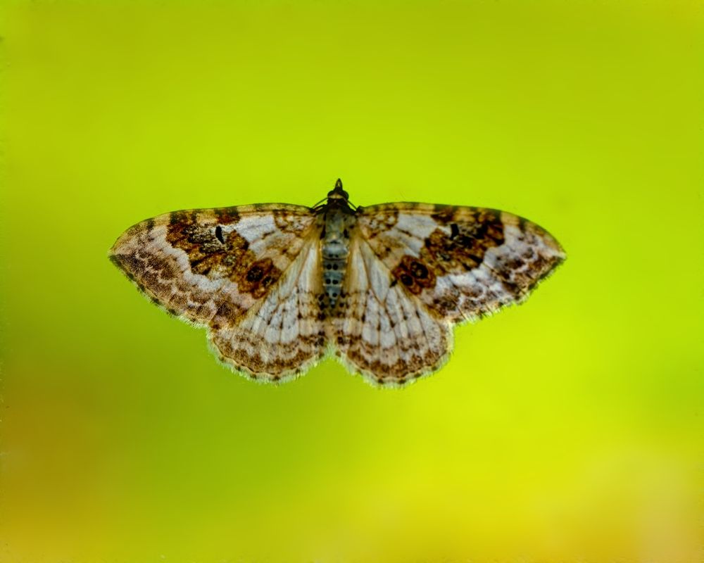 Photograph by Сергей Аллагулов