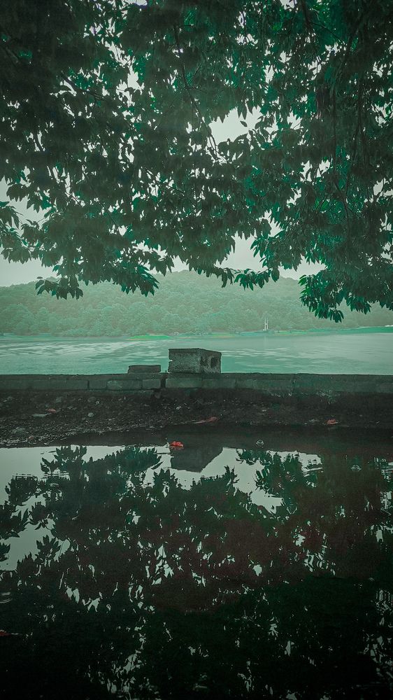 Photograph by Shima Farzaneh