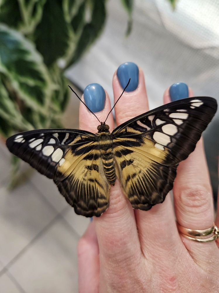 Photograph by Ирина Лучинская