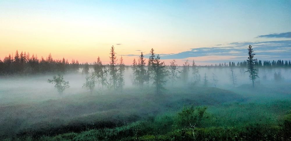 Ночь на полярном круге