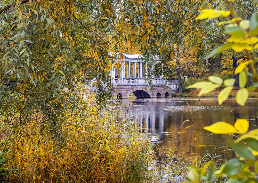 Парковая осень.