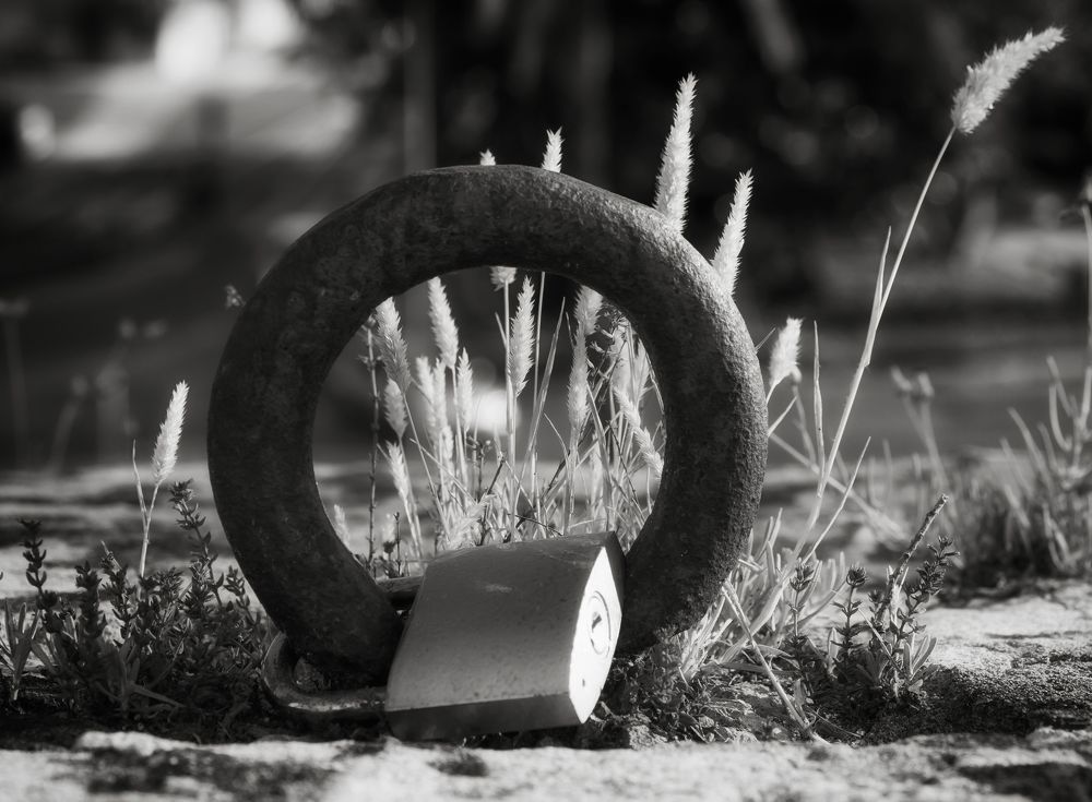 Photograph by Juan Imbernon