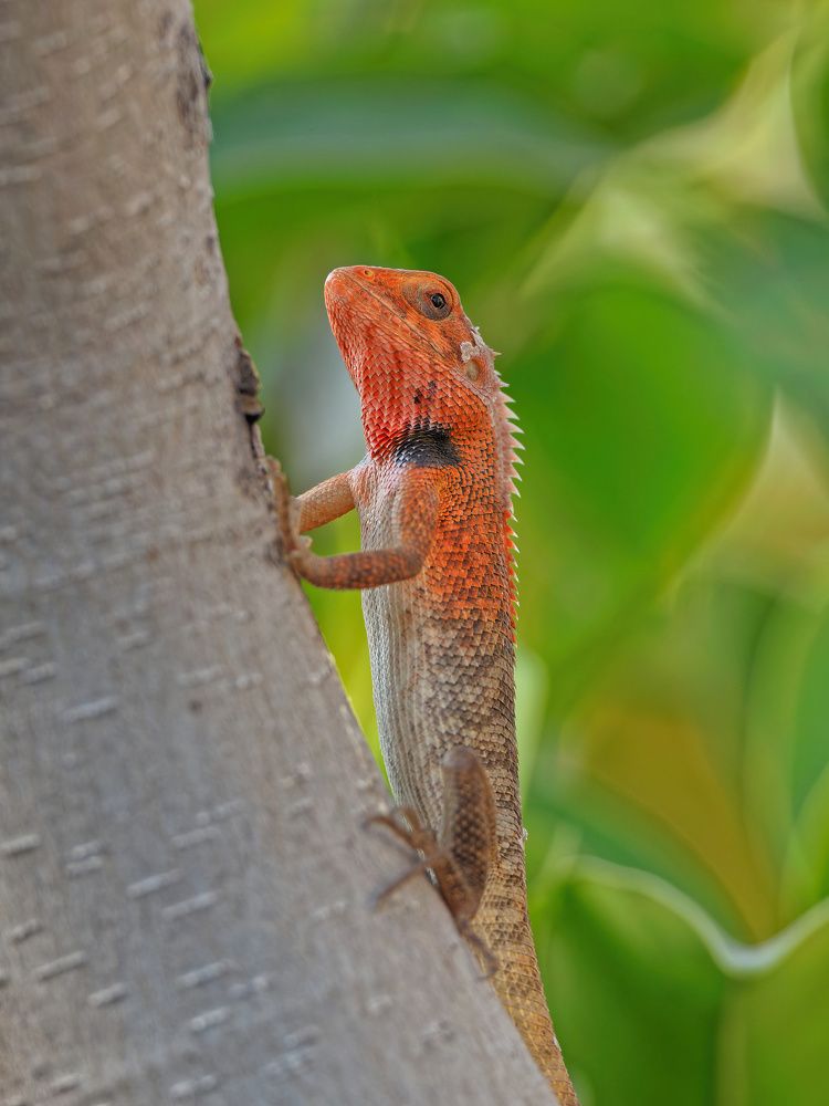 Photograph by RAJESH MAHAJAN