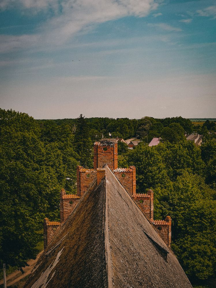 Photograph by Света