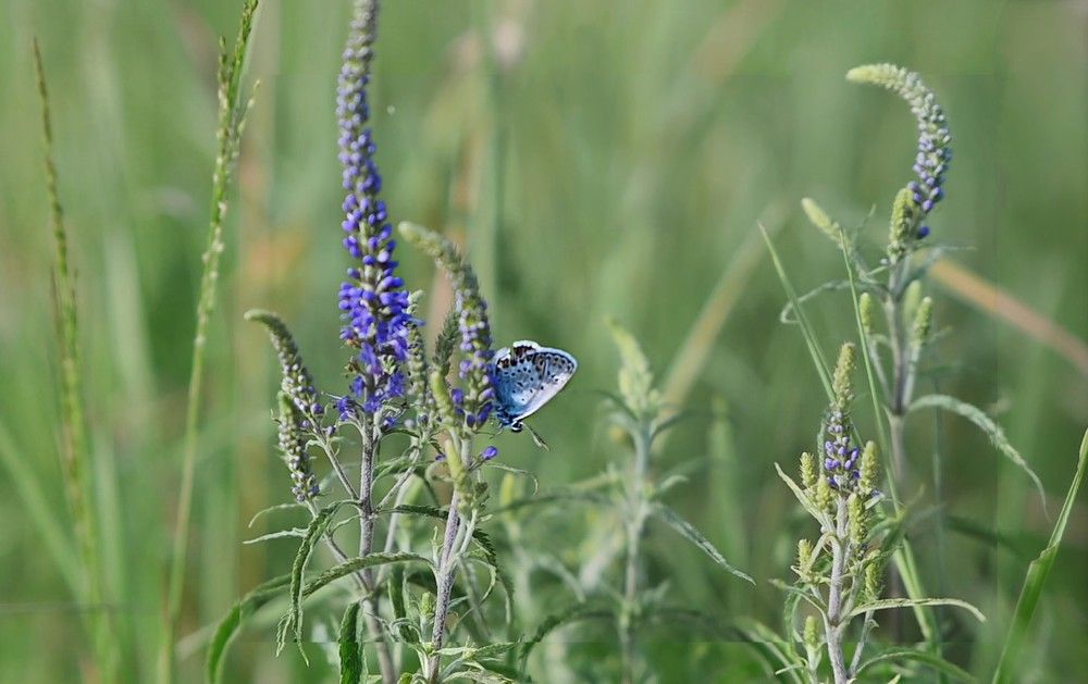 Фотография автора Ольга Гатауллина