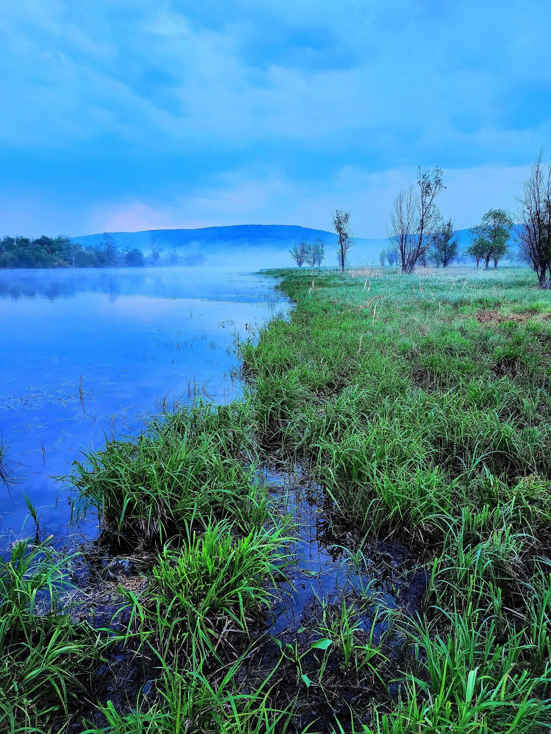 Photo #9245349