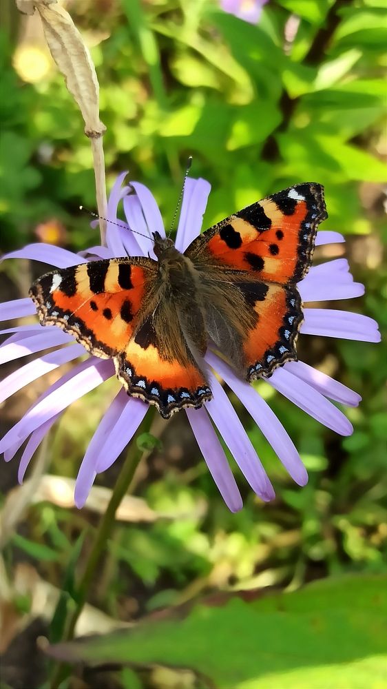 Photograph by Людмила Щуцкая