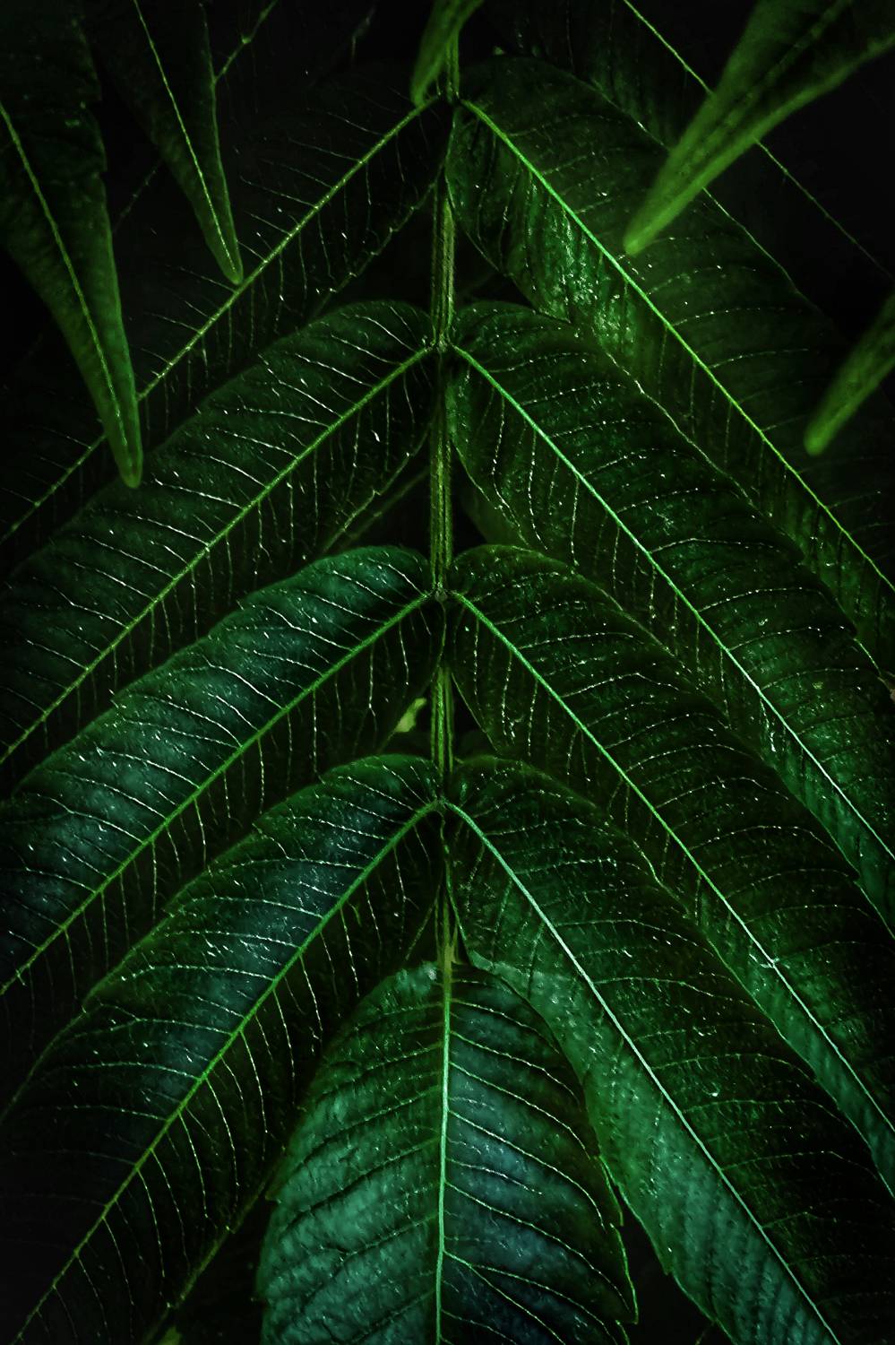 Фотография #9245434