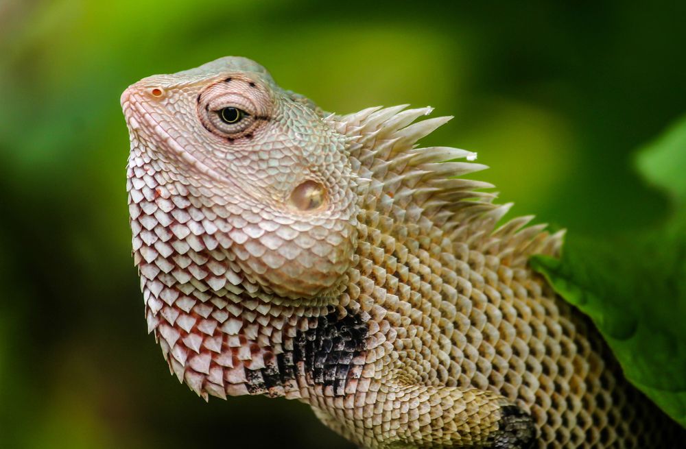 Photograph by Hawin Printo C