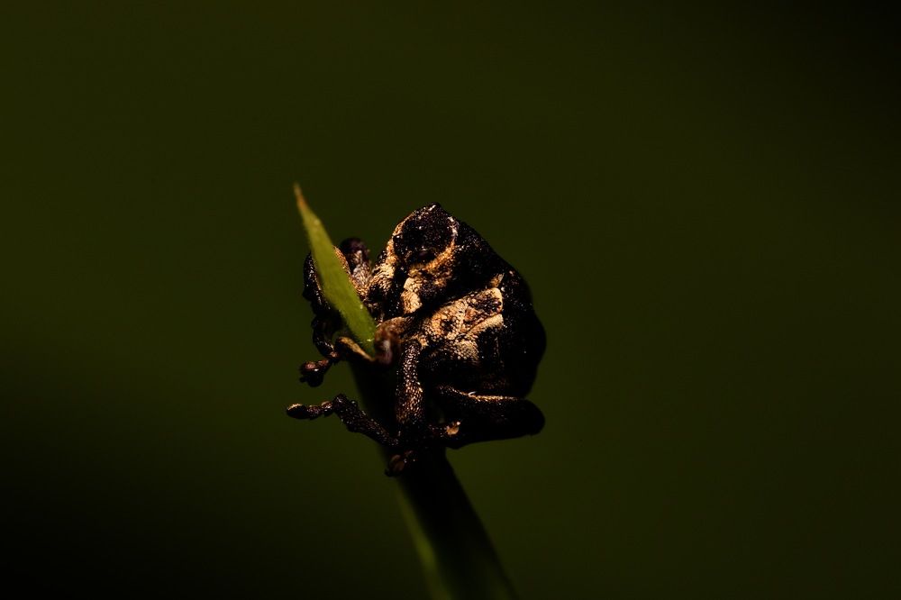 Photograph by Роман Турсков