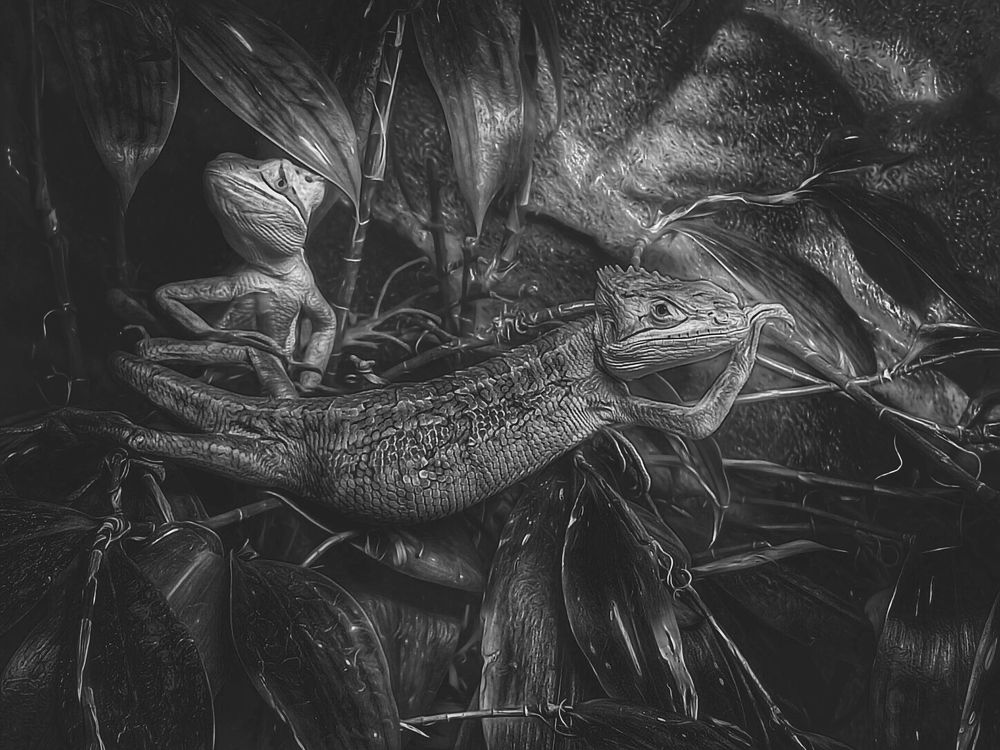 Photograph by Pawel Krzeszkiewicz