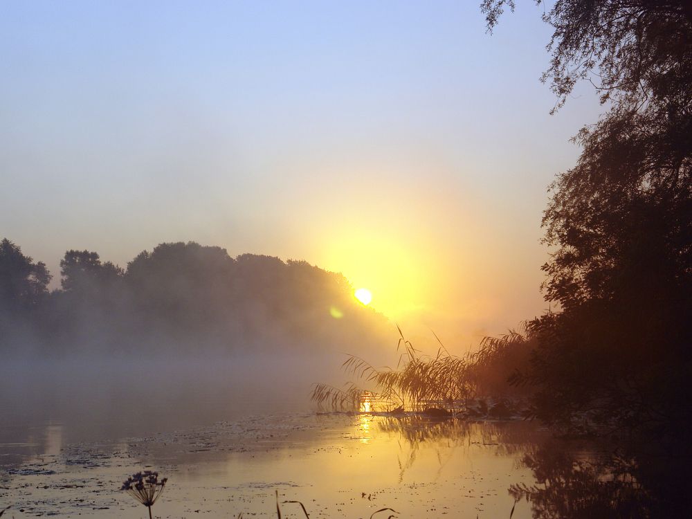 Photograph by Игорь Шевердин