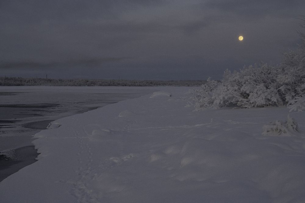 Photograph by Юрий Платухин