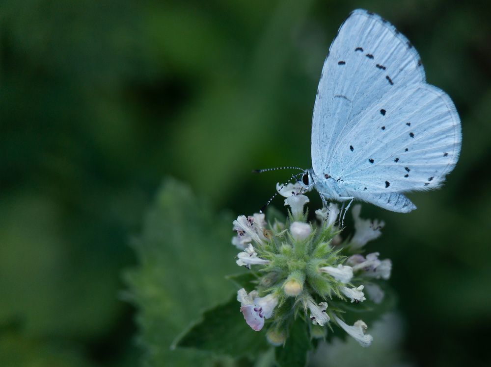 Photograph by Людмила Коныгина