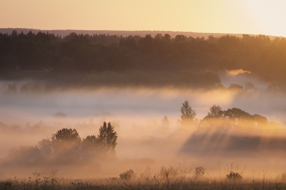 Фотография автора Ольга Белоусова