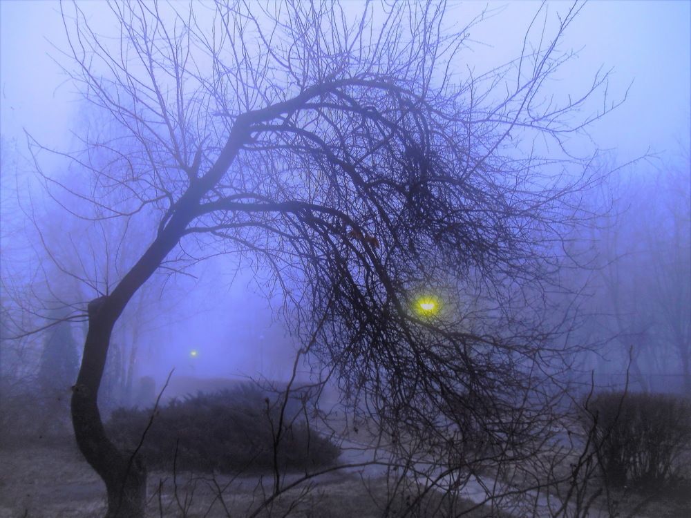 Утро туманное.