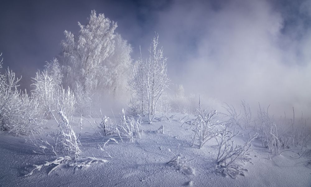 Photograph by Александр Рудный