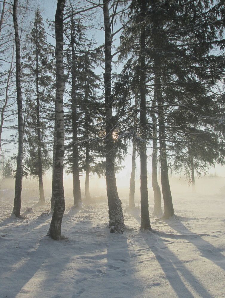 Photograph by Михаил Попов