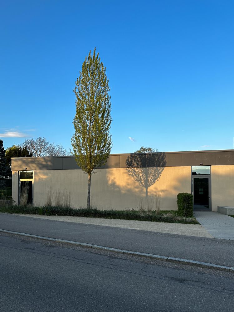 Photograph by Алина Еникеева