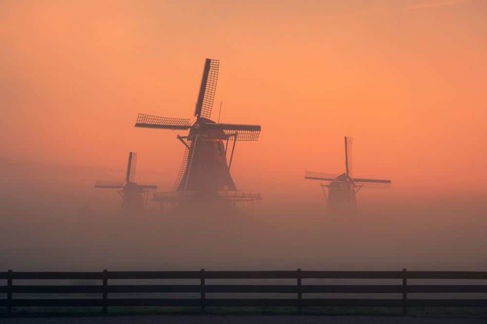 Photograph by Aniket Satpute