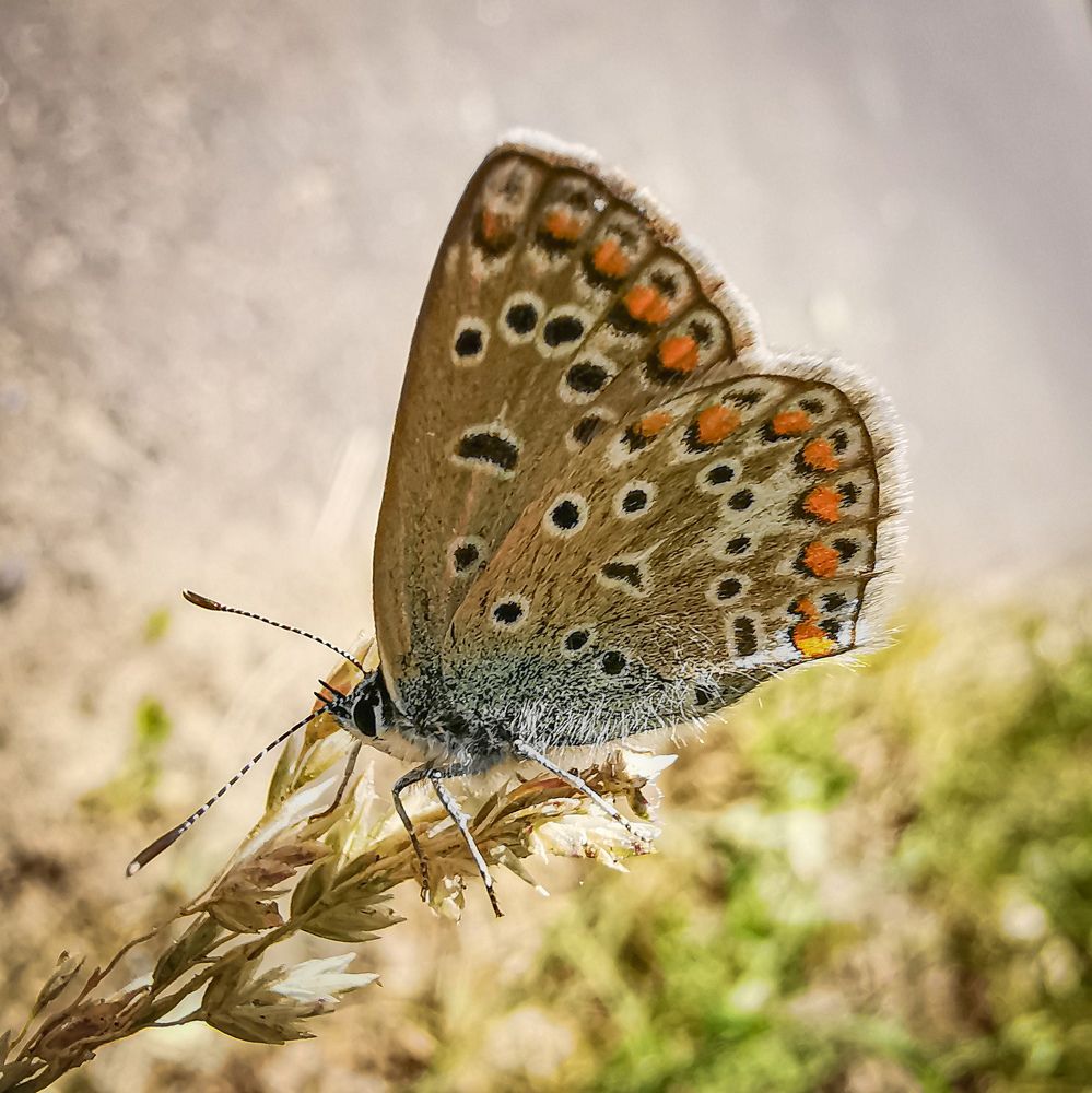 Photograph by Сергей Метлов