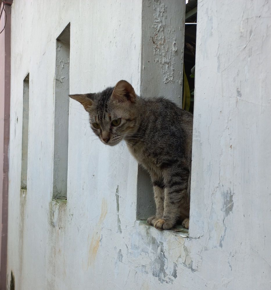 Photograph by Pujo Cahyono