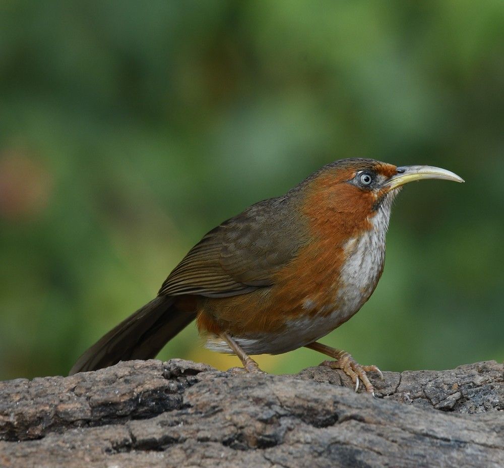 Photograph by Preet saluja