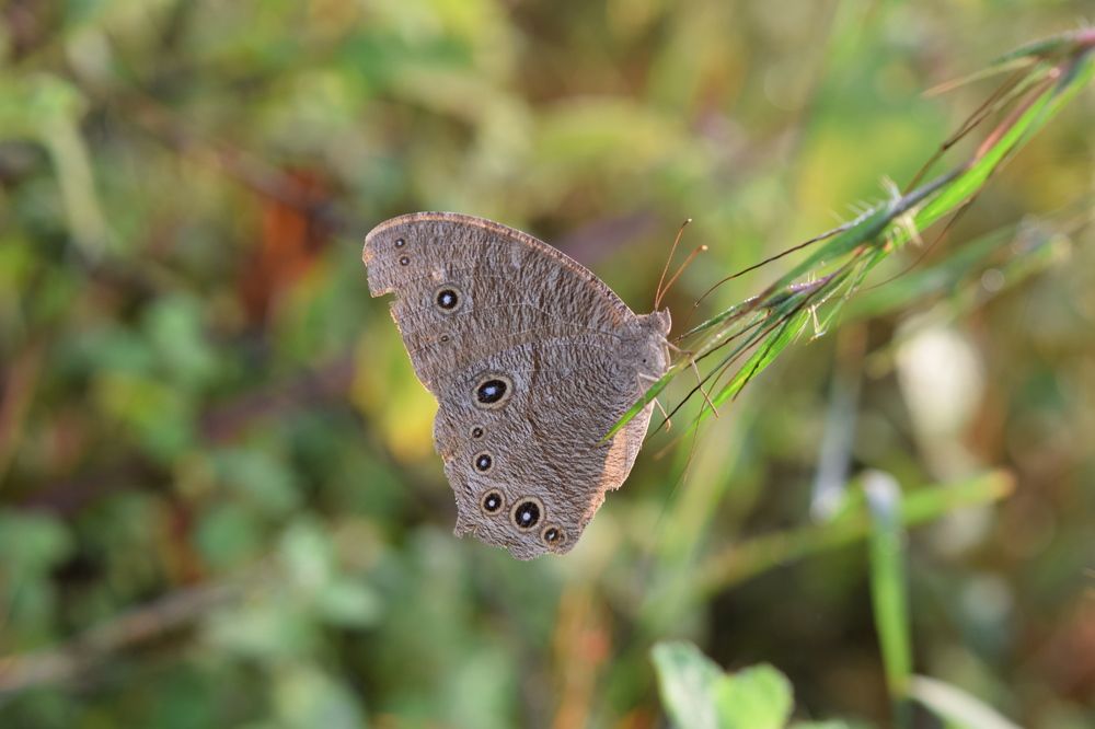 Photograph by Preet saluja