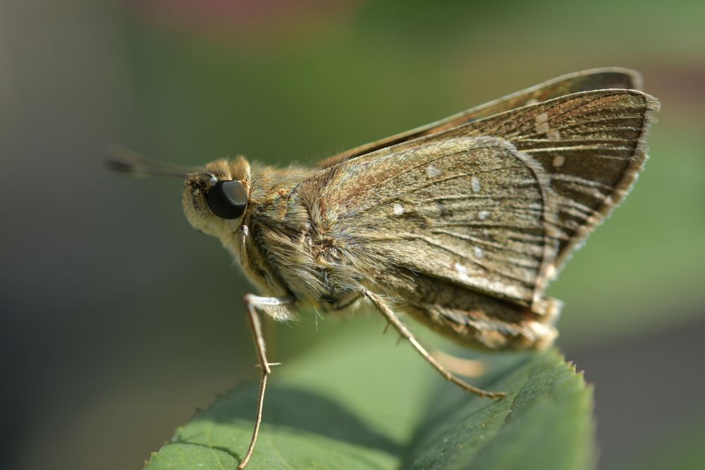 Photograph by Preet saluja