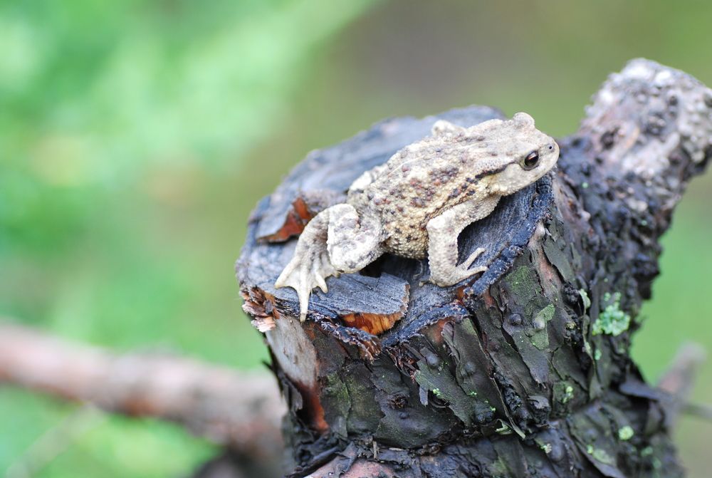 Photograph by Оксана Трофименко