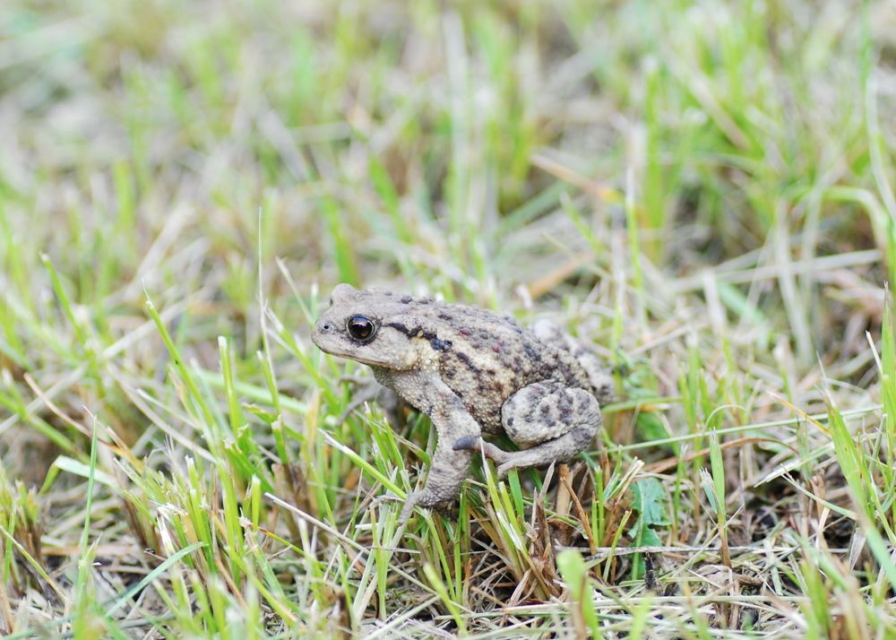 Photograph by Оксана Трофименко