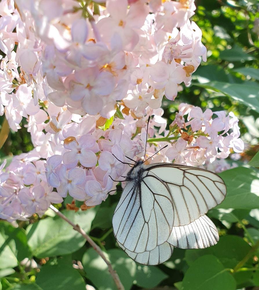 Photograph by Жанна Регор