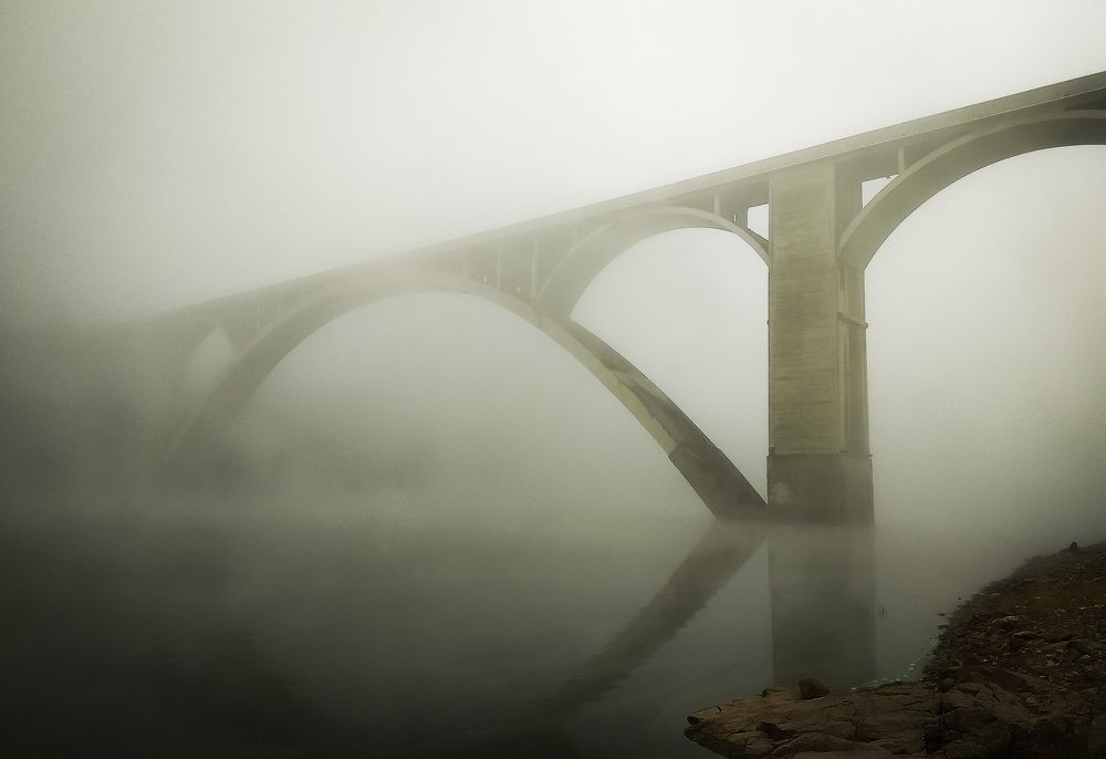 Photograph by Luis Francisco Bravo Olazabal