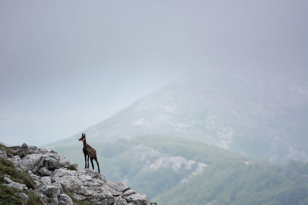 Photograph by Stipe Perkovic