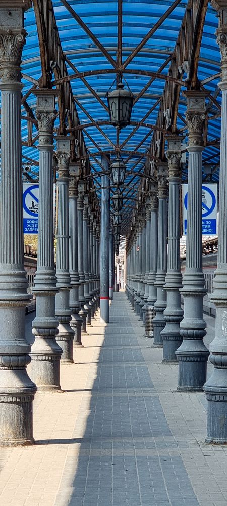 Фотография автора Светлана Алексеева